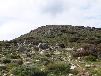 Vedi lo zoom