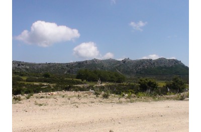 Vedi lo zoom